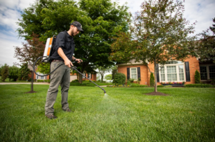 Experience the Magic of Andersons 4 Step Lawn Care Today!