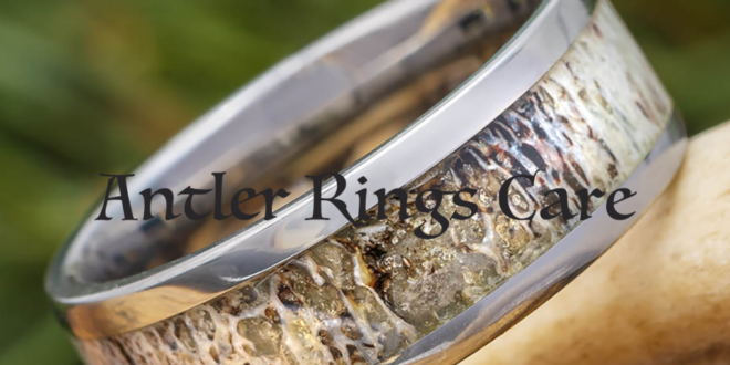 Essential Guide on Antler Ring Care